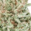 Best Cinex Sativa Strain