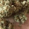 Order Blueberry Kush Marijuana Strain